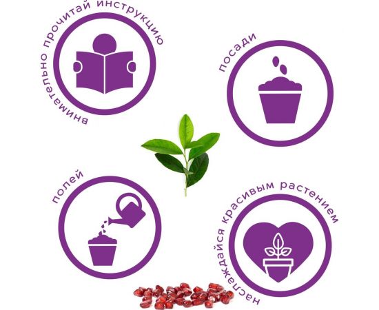 Набор для выращивания растений Тысяча Листьев гранат обыкновенный tl-031 – изображение 6