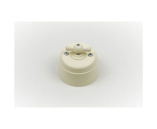 Поворотный выключатель Interior Electric с корпусом из пластика серии "вектор" (слоновая кость) ВПП03 