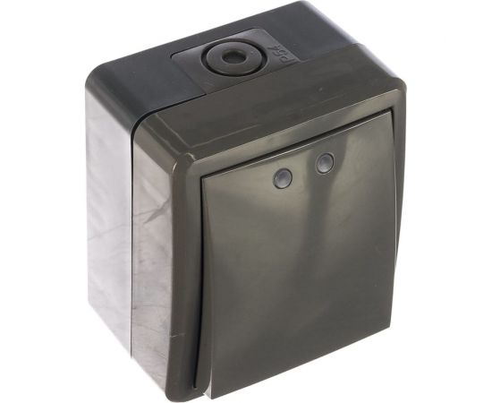 Выключатель с подсветкой ЭРА 11-1402-03 IP54, 10АХ-250В, ОУ, Эксперт, серый Б0020672 – изображение 2