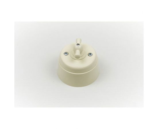 Поворотный выключатель Interior Electric с корпусом из пластика серии "вектор" (слоновая кость) ВПП03 – изображение 3