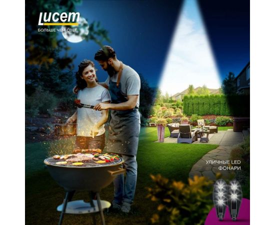 Светодиодный светильник Lucem для наружного освещения lm-lqs 100w FLLDA1500146L – изображение 2