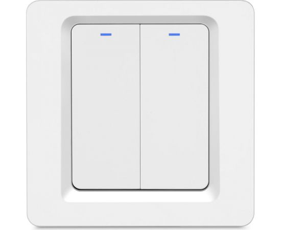 Умный двухкнопочный выключатель Roximo Zigbee SZBTN01-2 – изображение 2