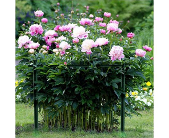 Ограждение GRILLUX Pillar 800x600 мм, зеленое ВЗР2525-01 – изображение 2