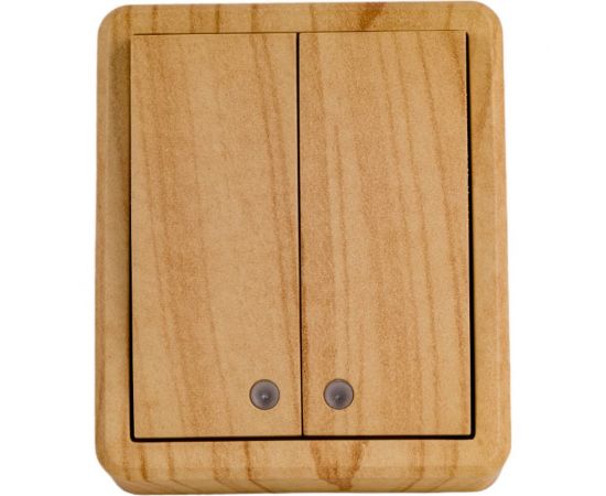 Двойной выключатель с подсветкой ЭРА 11-1205-11 10АХ-250В, IP20, открытой установки, Эксперт, сосна Б0020668 