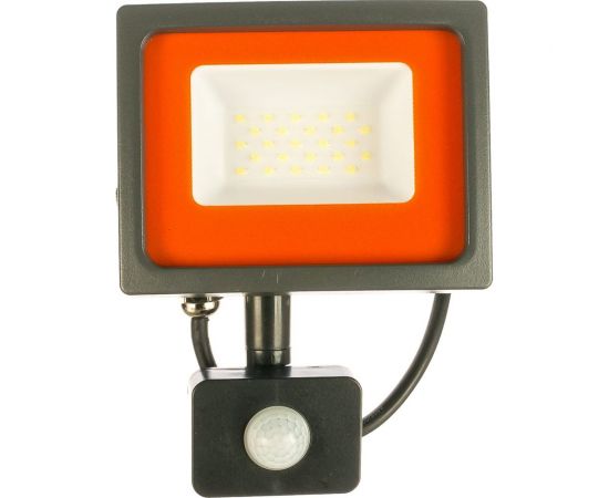 Прожектор Jazzway PFL-SC-30w sensor 6500K IP54 матовое стекло 5001411 – изображение 2