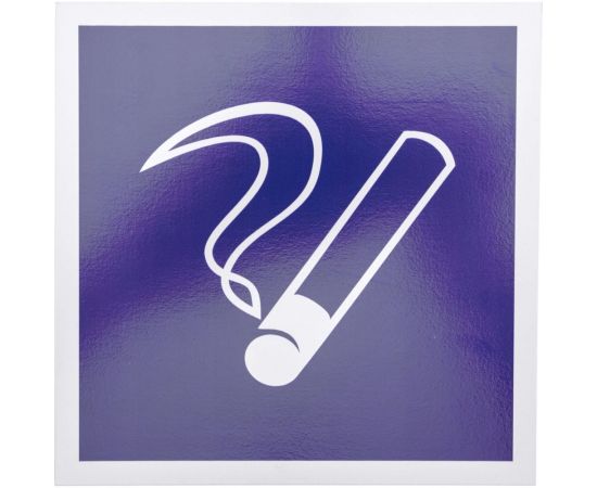 Табличка REXANT ПВХ-информационный знак, Место курения, 200х200мм 56-0033-2 – изображение 2