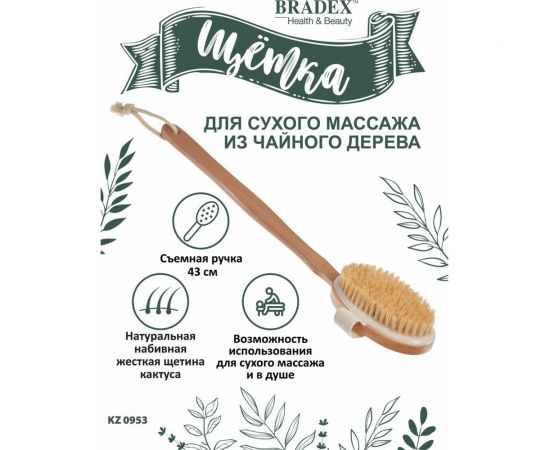 Щётка для сухого массажа BRADEX из чайного дерева, с щетиной кактуса, со съемной ручкой, 43 см KZ 0950 – изображение 7