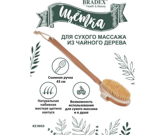Щётка для сухого массажа BRADEX из чайного дерева, с щетиной кактуса, со съемной ручкой, 43 см KZ 0950 – изображение 4