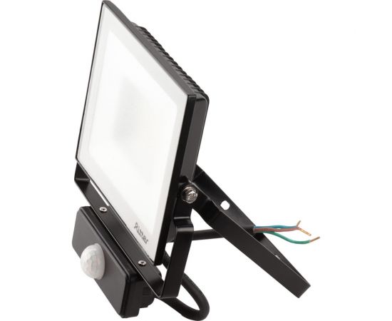 Светодиодный прожектор RITTER серия PROFI 230В 50 Вт 6500К 5000Лм IP65 черный с датчиком движения 53422 2 – изображение 5