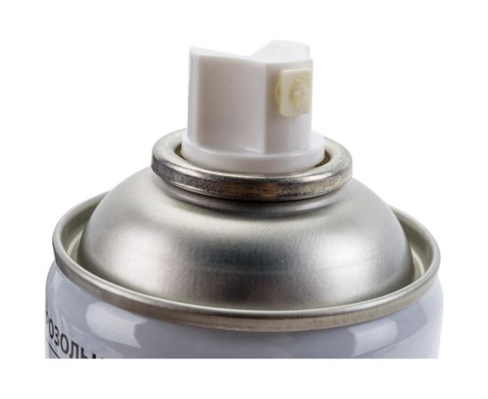 Краска-спрей ODIS standart RAL бежевый 1001ral – изображение 2