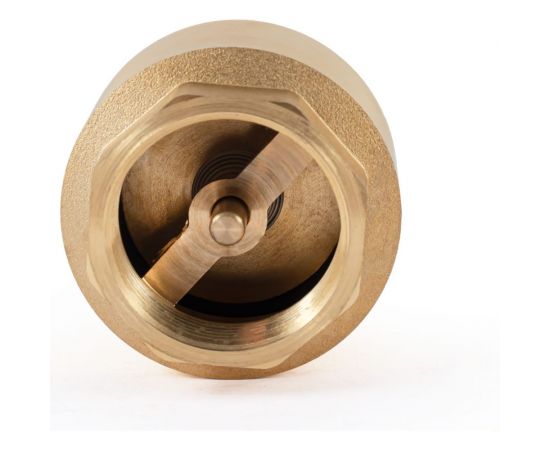 Обратный клапан PROFACTOR с латунным штоком, в/в 1 1/2"" PF CV 244 – изображение 2