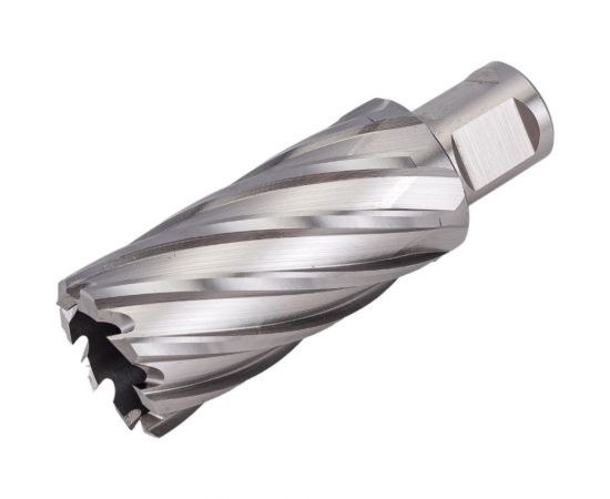 Фреза кольцевая HSS (29x55 мм; Weldon 19) ROTORICA RT.4215029 