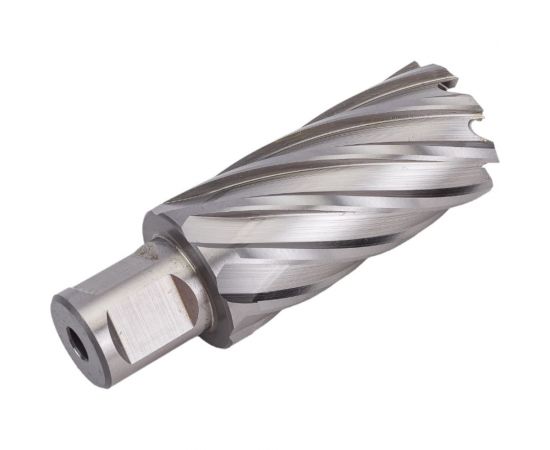 Фреза кольцевая HSS (29x55 мм; Weldon 19) ROTORICA RT.4215029 – изображение 4