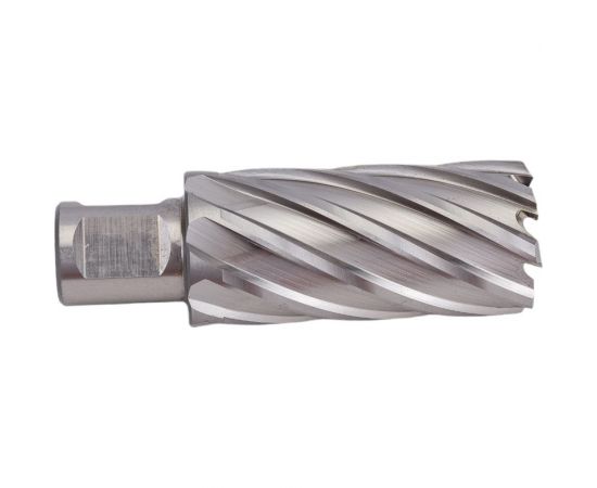 Фреза кольцевая HSS (29x55 мм; Weldon 19) ROTORICA RT.4215029 – изображение 3