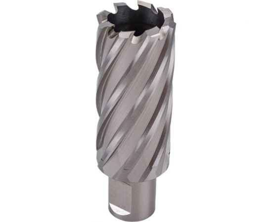 Фреза кольцевая HSS (29x55 мм; Weldon 19) ROTORICA RT.4215029 – изображение 2