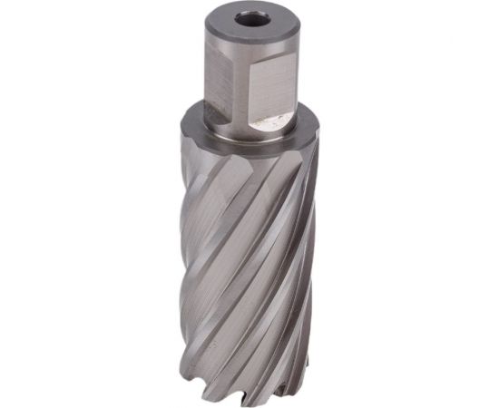 Фреза кольцевая HSS (29x55 мм; Weldon 19) ROTORICA RT.4215029 – изображение 6