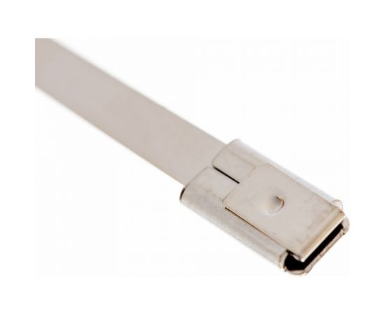 Стальные стяжки FORTISFLEX СКС 304 4.6х250 100 шт./уп. 74911 – изображение 2