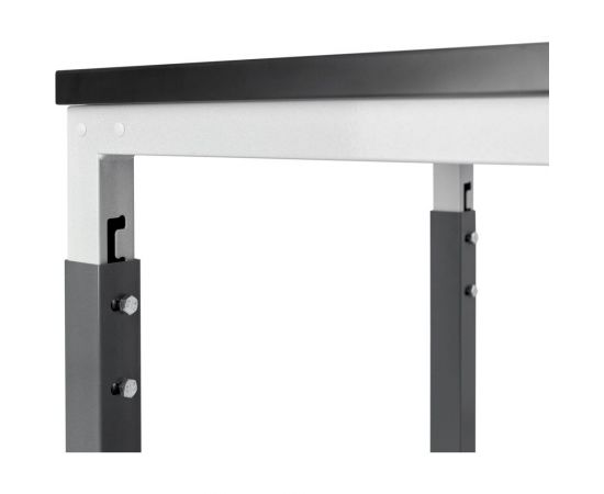 Тележка Диком СР-М ДСП 14.0121-310 – изображение 2