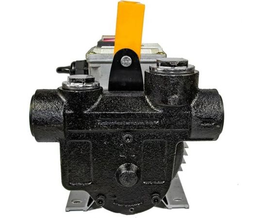 Электрический насос ООО Петролл petroll helios-60, 220v, 60 л/м 3003 – изображение 3