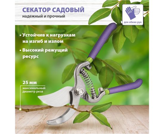 Цельнокованый секатор прямого реза PALISAD 255 мм 60467 – изображение 2