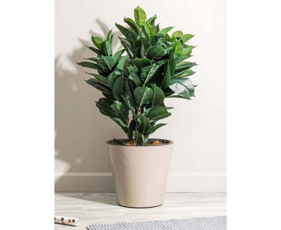 Горшок для цветов Idiland Rosemary D 160 мм, 1.6 л, с дренажной вставкой, бежевый 221605427/01 – изображение 3