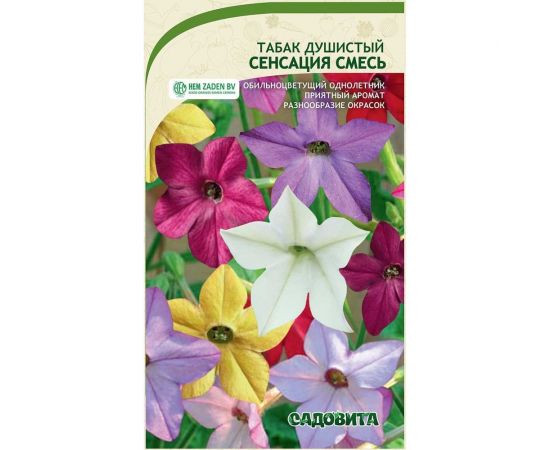Семена Садовита Табак душистый Сенсация смесь 0.1 г 00208023 