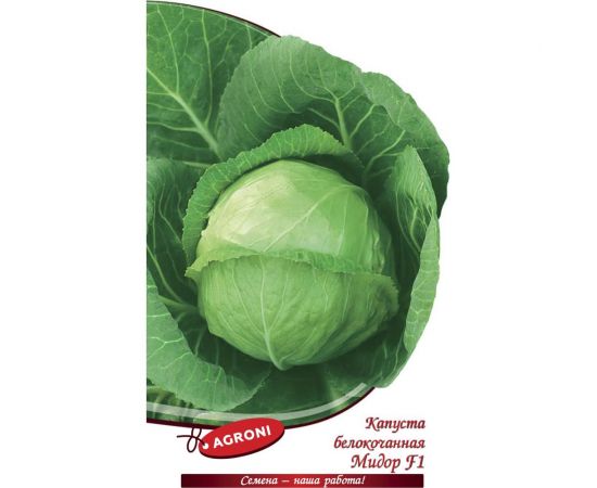 Семена Агрони Капуста белокочанная Мидор F1 0.1 г 7408 