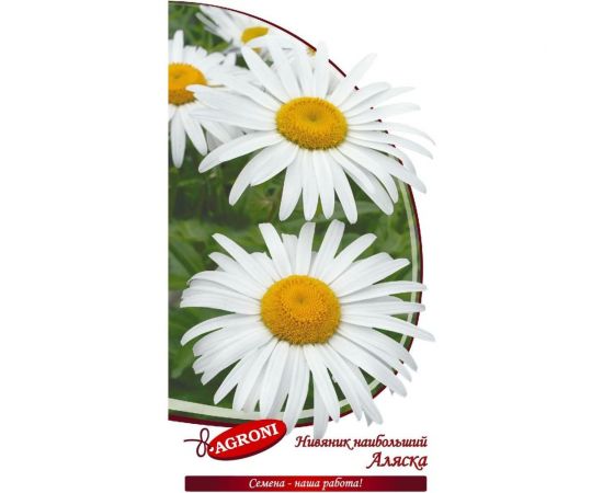 Семена Агрони Нивянник наибольший Аляска 0.1 г 8573 