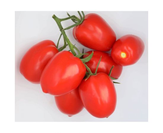 Армата F1 семена томата 20 шт ЭС мини ELITE PLANT-BREEDING & SEED PRODUCTION Co. 1026995240 – изображение 2