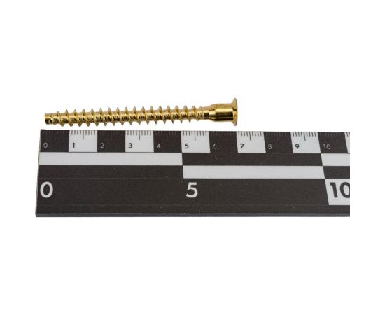 Меб. шуруп-стяжка ЕВРОПАРТНЕР латунир., 7x70 мм, 10 шт. 6 1631 4 – изображение 2