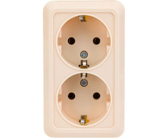 Двойная розетка TDM 2П+3 открытой установки IP20 16А 250В (керамика) сл. кость "Ладога" SQ1801-0213 – изображение 2