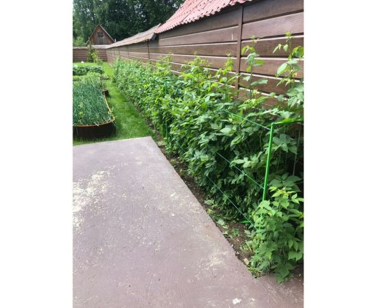 Опора для малины НАЙДИ зеленая GO6018 – изображение 3