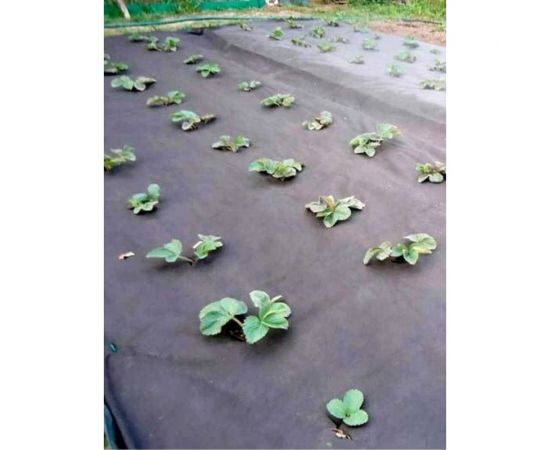 Спанбонд черный укрывной материал для растений 3.2x10 м Сила Суздаля 4680004064312 – изображение 3