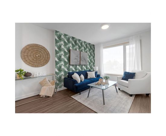 Самоклеящаяся пленка Центурион Монстера темно-зеленая, 0.45х7 м, дизайн 5824 84056 – изображение 6