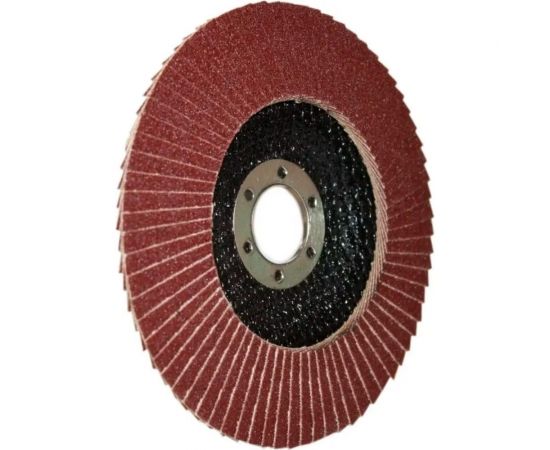 Круг лепестковый (150x22 мм, Р 40, 10 шт) KETZU 760490 – изображение 3