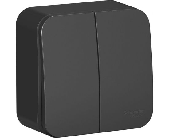 2-клавишный выключатель Schneider Electric Blanca наружный, Антрацит 10А, 250B SE BLNVA105016 