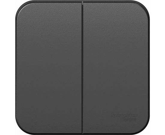 2-клавишный выключатель Schneider Electric Blanca наружный, Антрацит 10А, 250B SE BLNVA105016 – изображение 2