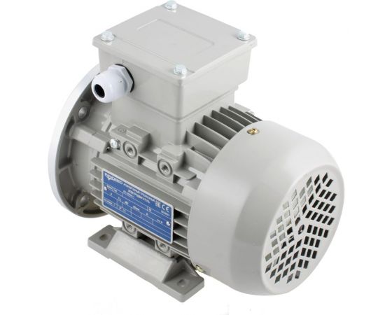 Трехфазный асинхронный электродвигатель INNORED 0.12 кВт, 1400 об/мин, 140х11 мм, на лапах, схема включения звезда/треугольник, 380/220 В, IP55 RM63M1-4 B35 