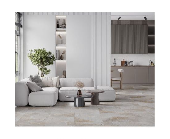 Керамогранит LAPARET Fantastico grey granito 60x60 см, матовый 1.44 кв. м, 4 шт. х9999287039 – изображение 5