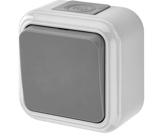 Выключатель Bylectrica 1-клавишная, открытая установка, 6А двухполюсный IP54, серия ПРАЛЕСКА АКВА, серый, А210-845 03 