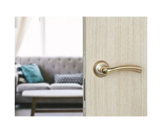 Дверная ручка Palladium A Brezza GP/SG 00012083 – изображение 3