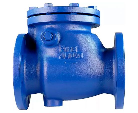 Поворотный обратный клапан DN.ru 302a ду50 ру16 фланцевый, чугунный D100-02362 