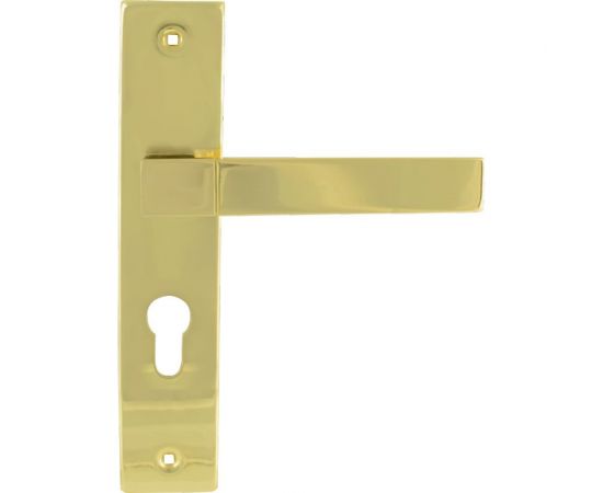 Дверная ручка на планке НОРА-М NEW 109-55 мм золото 16904 