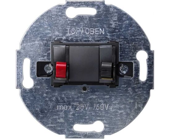 Розетка для громкоговорителей Siemens DELTA 5TG2467-2 