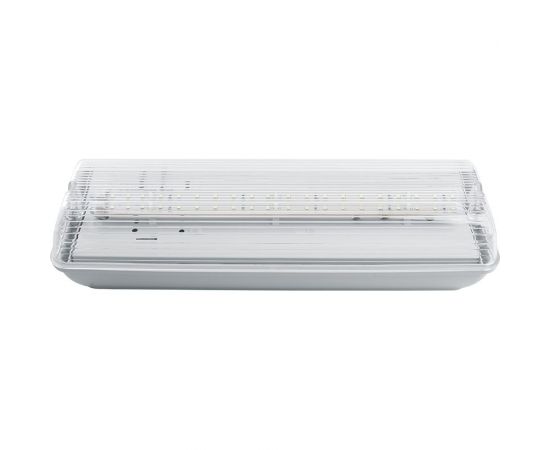 Аварийный светильник FERON 20 LED AC/DC, белый, EM101 41536 – изображение 2