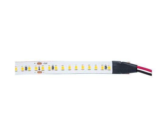 Светодиодная лента ELF 960SMD диодов (2835), 36В, 5м, ЭКСТРА, белый 6500-7000К ELF-960SMD2835NWw-Xtr36 – изображение 3