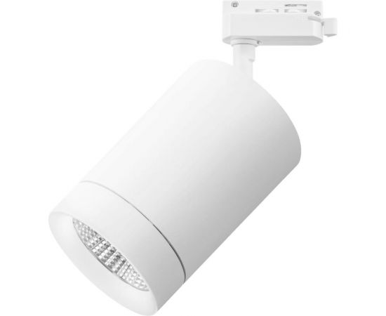 Трековый светодиодный светильник Lightstar 303262 