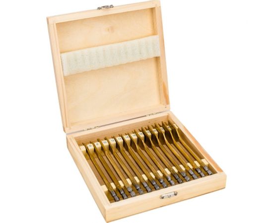 Набор перовых сверл по дереву 6-8-10-12-13-14-16-18-19-20-22-24-25 мм, 13 шт Gigant Gpd-13 