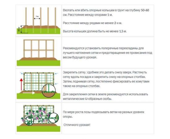 Сетка для винограда ПРОТЭКТ 30х25 мм, 5 м, зеленая УР-30/1/5 з – изображение 4