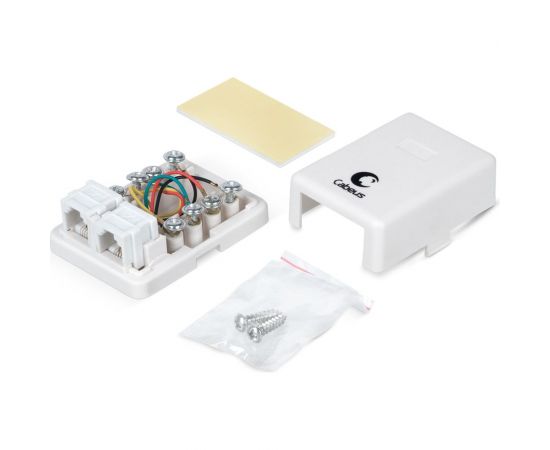 Двойная внешняя телефонная розетка RJ-12(6P4C) Cabeus белая WS-6P4C-TEL-2 – изображение 2